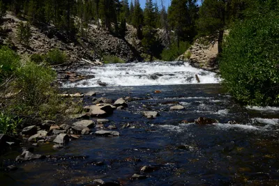 DSC_9918 (Large).JPG